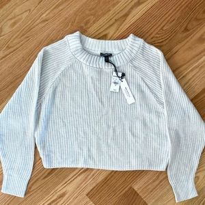 NWT Express Cropped Oversized Sweater
